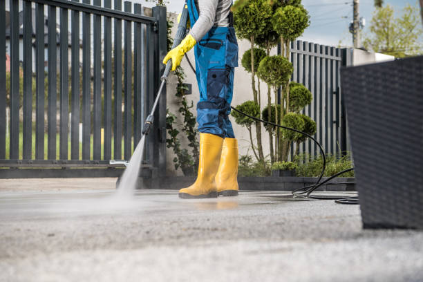 Best Gutter Cleaning and Brightening in Sylva, NC